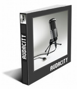 Ir a la Ficha del libro Audacity: Captura y edición de audio con software libre