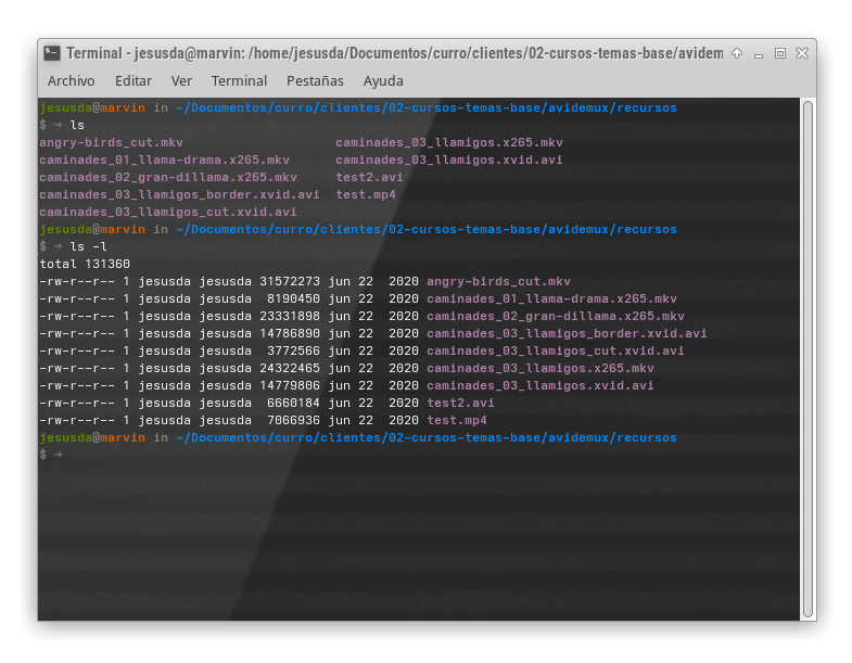 Comandos básicos Linux