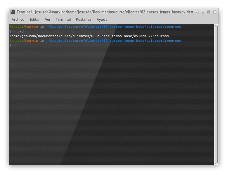 Comandos básicos Linux