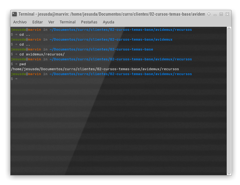 Comandos básicos Linux