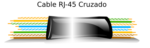 RJ-45 Pelado